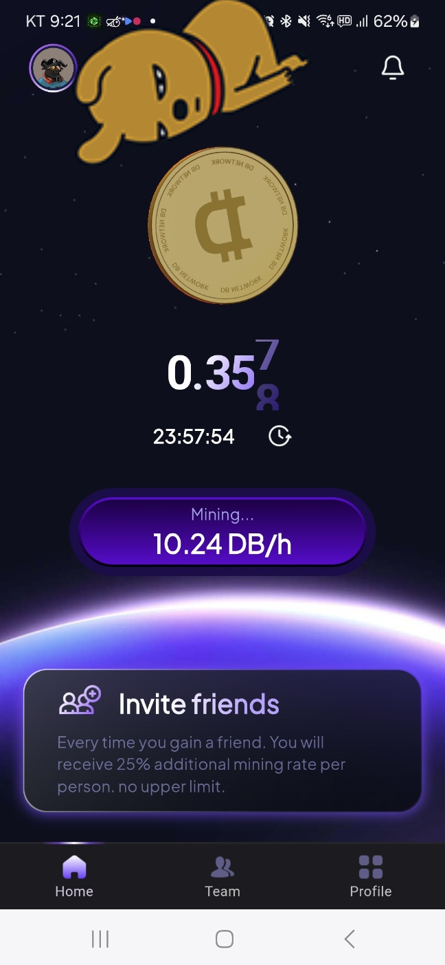 2024년 04월 출시한 극초기 DB Network 코인 무료채굴 :: 일상생활과 함께 스며드는 코린이의 채굴일기