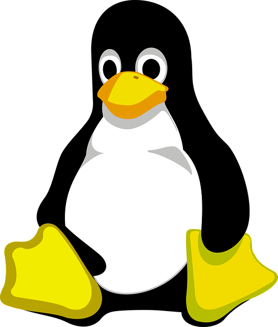 [Linux] ps: not found 에러