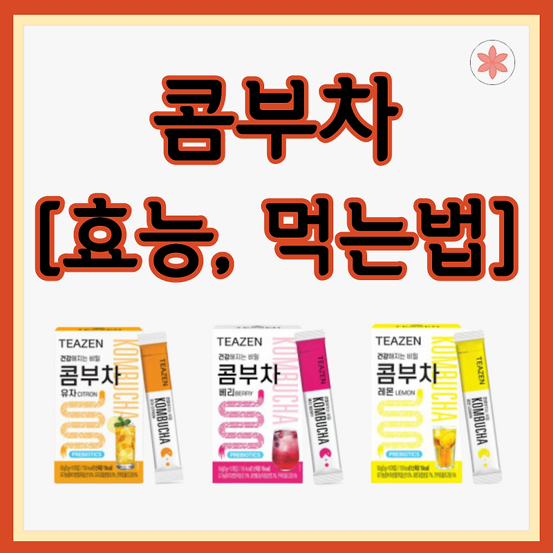 착한습관 착한 콤부차로 유산균까지