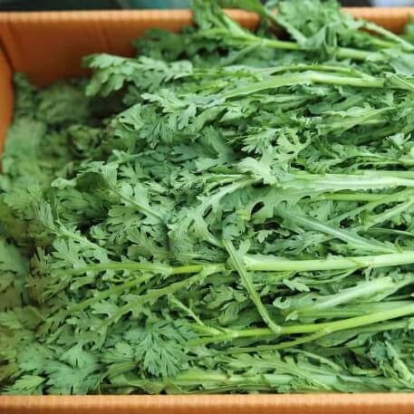 쑥갓의 효능과 부작용, 쑥갓 나물 무침 요리
