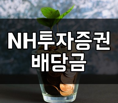 NH투자증권 17~21년 배당금과 배당 수익률, 배당성향은?!