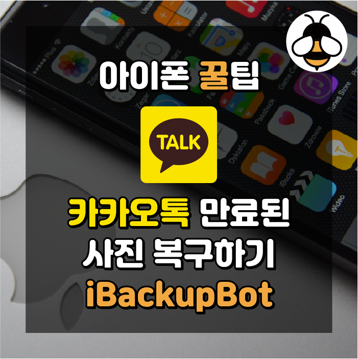 카카오톡 만료된 사진 복구하기 | 아이폰, iBackupBot [다운로드 링크]