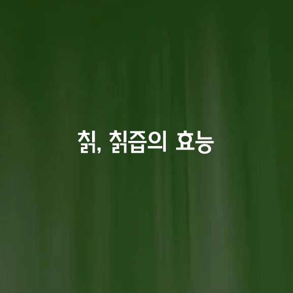 칡 칡즙의 효능 9가지 복용 주의점