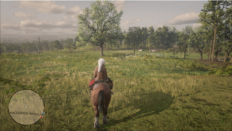 레드 데드 온라인(Red Dead Online) Pc 버전은 권하지 않습니다 :: Nightshadow의 블로그