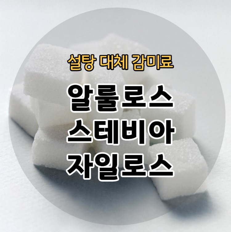 설탕 대체 감미료 - 알룰로스/스테비아/자일로스