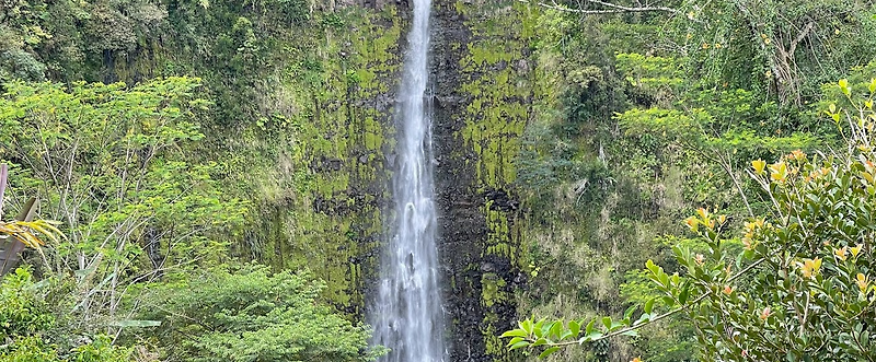 Akaka falls trail