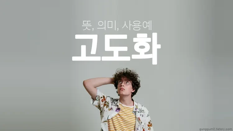 고도화 뜻, 의미, 사용예