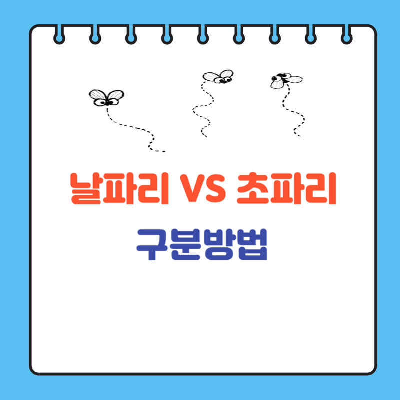 초파리 날파리 구분방법 차이