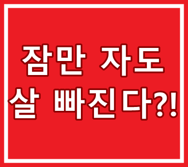 잔티젠 기초대사량 올려주는 효과 내돈내산 실경험담