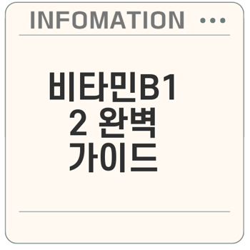 비타민B12 효능과 부작용 총정리