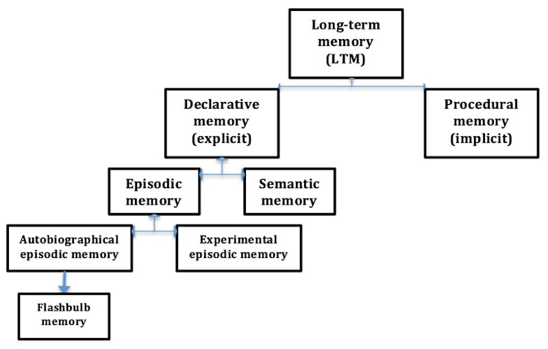 의미 기억, semantic memory, 지식적 기억, 명시적 기억(explicit memory)