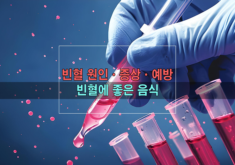 빈혈 원인ㆍ증상ㆍ예방ㆍ관리ㆍ빈혈에 좋은 음식
