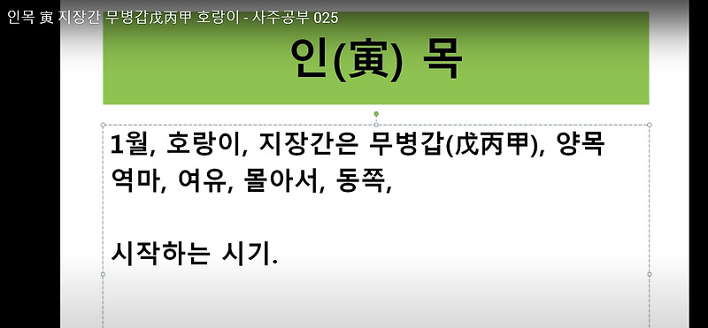 인목(寅木) 지지 공부 지장간 무병갑 호랑이 봄 :: 호주머니