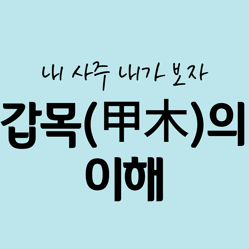 내 사주 내가 보자]갑목(甲木)의 이해