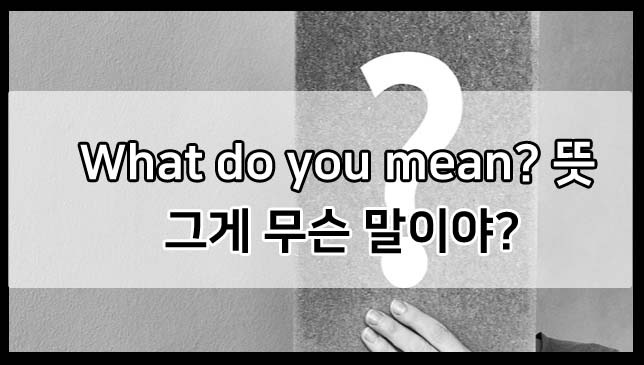 What do you mean? 뜻 : 그게 무슨 말이야? 무슨 의미야?