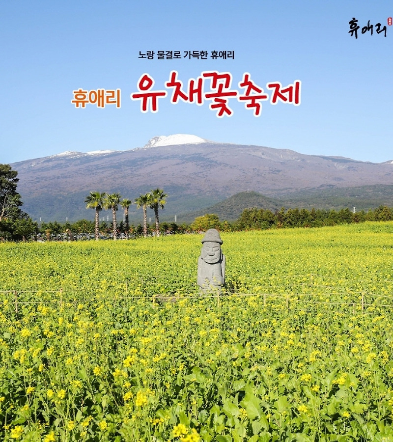2025년 봄꽃 축제 정보 : 제주도 휴애리 유채꽃 축제 :: juice-kwon 님의 블로그