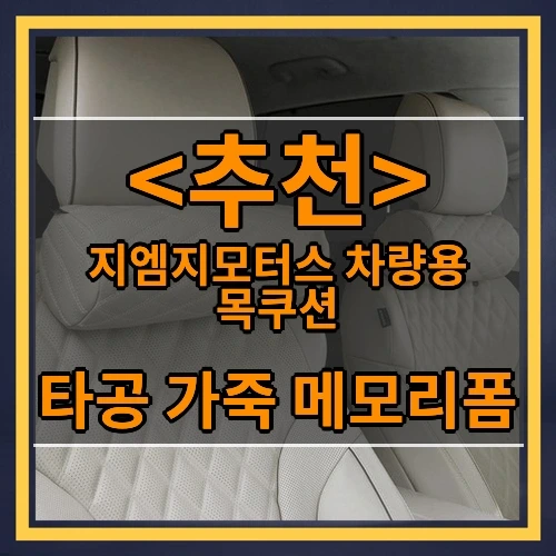 지엠지모터스 차량용 목쿠션 추천