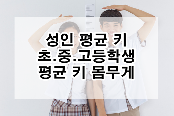 성인 평균 키 초등학생,중학생,고등학생 평균 키 몸무게