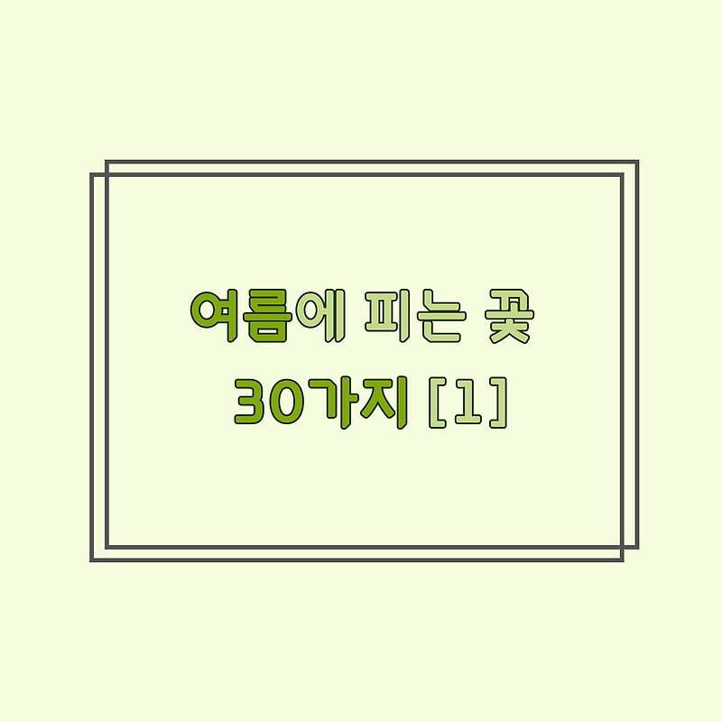 여름에 피는 꽃 30가지 [ 1 ] _ 이름, 개화시기, 원산지, 특징, 꽃말