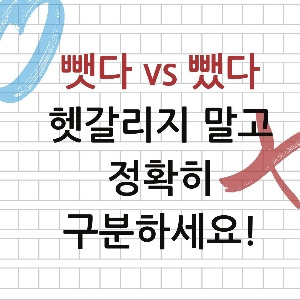 뺏다 vs 뺐다, 헷갈리지 말고 정확히 구분하세요!