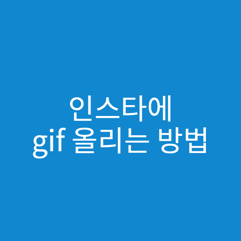 인스타 gif 올리기 방법 - 세상의 모든 방법