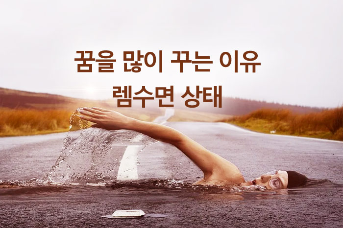 잠잘 때 꿈을 많이 맨날 꾸는 이유