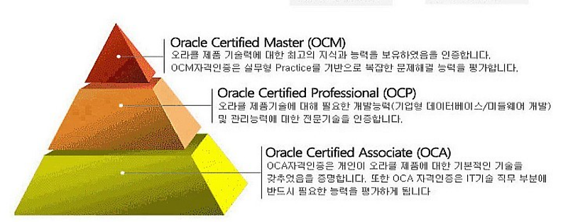 1Z0-083 Valid Mock Test