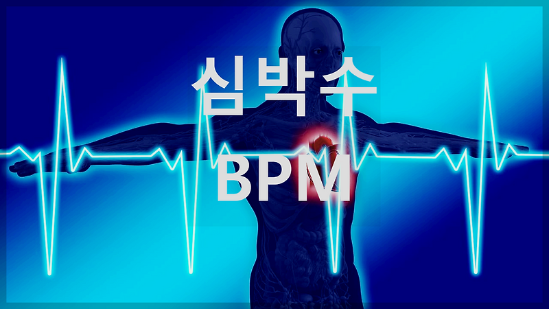 BPM이 알려주는 건강의 비밀