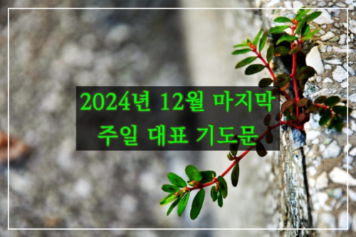 2024년 12월 마지막 주일 대표 기도문