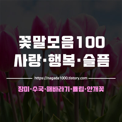꽃말모음사전 100 (장미,튤립,수국 + 사랑,행복,축하,슬픈꽃말)