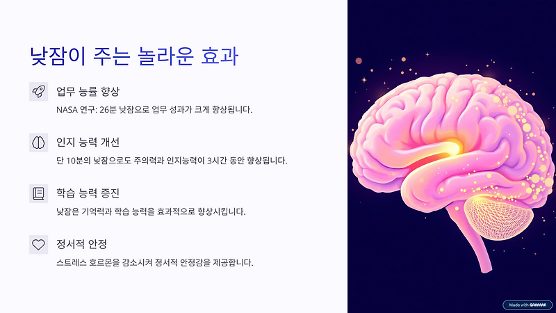 낮잠의 적정 시간과 효과: 건강을 위한 과학적인 낮잠 가이드