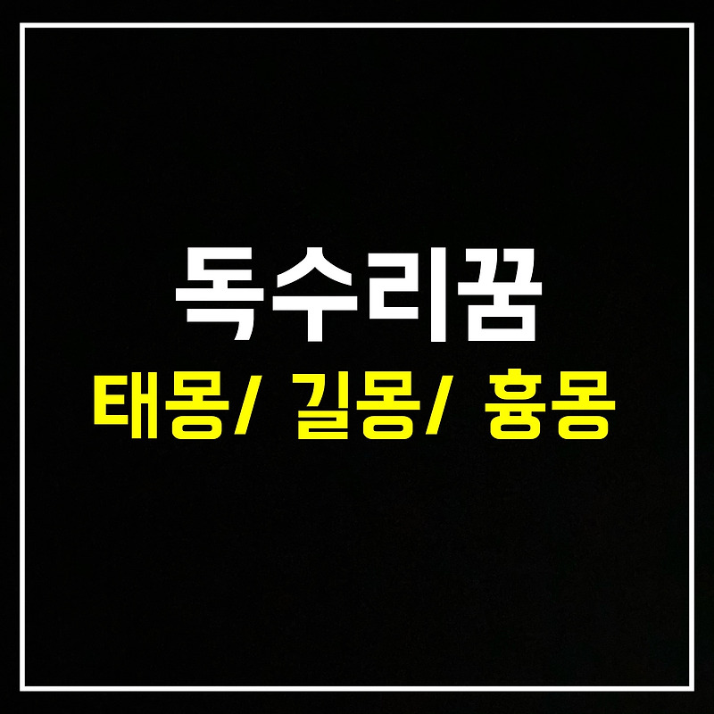 [동물꿈] 독수리꿈은 어떤 의미일까? 태몽/길몽/흉몽 총정리