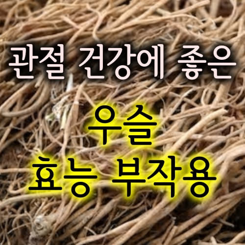 관절 연골건강에 좋은 우슬뿌리 우슬차 부작용 먹는방법 우슬 효능 /우슬밥 우슬차 우슬수육 만드는 방법 효능/Achyranthes
