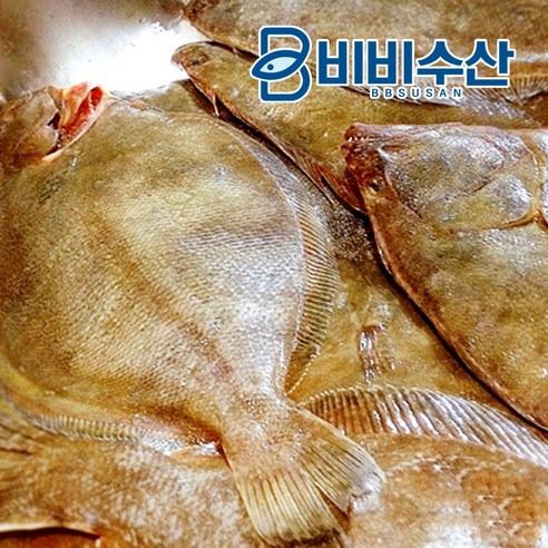 비비수산 11월 제철 12월 제철 겨울 음식 추천