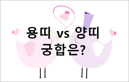 재미로보는 용띠 vs 양띠 궁합