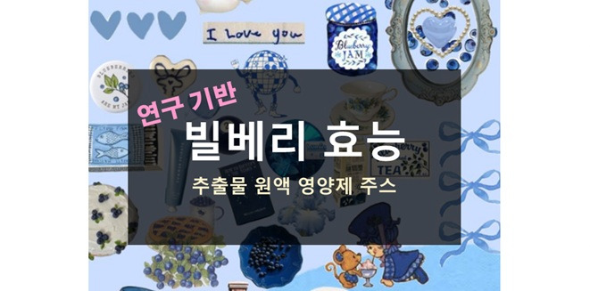 빌베리 효능 추출물 영양제 주스 가루 원액 디시