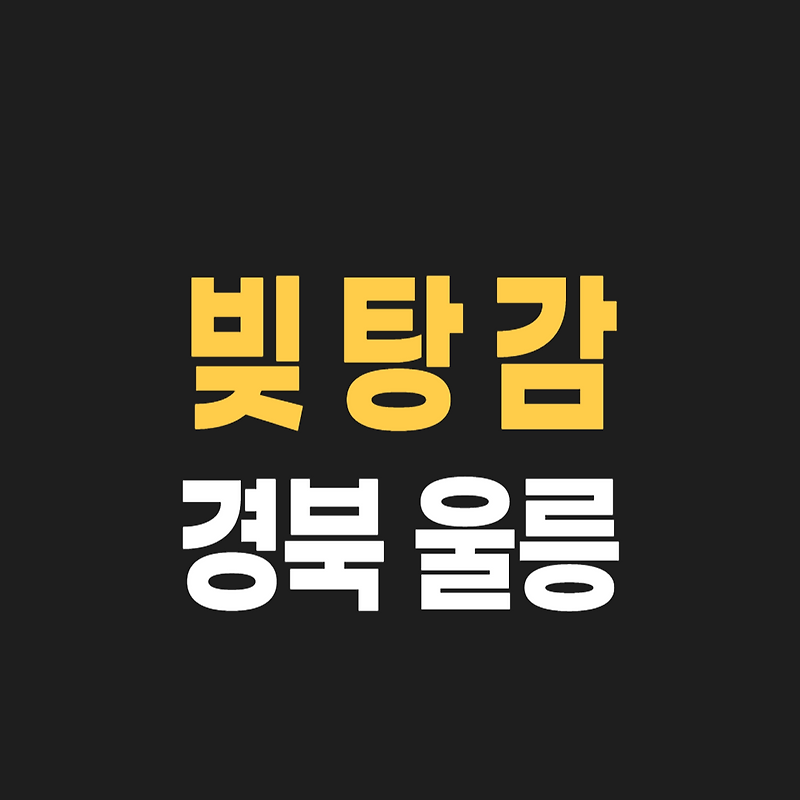 울릉군 개인회생 변호사/법무사 Tip.3, 무료상담 신청 후기, 성공 사례