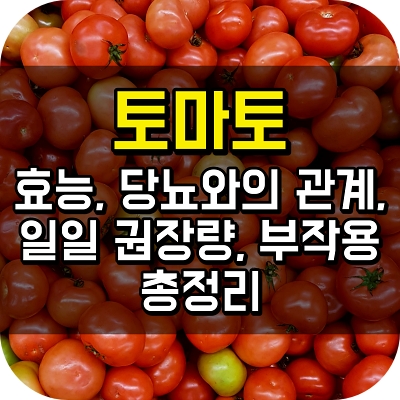 토마토) 효능, 당뇨와의 관계, 일일 권장량, 부작용 총정리