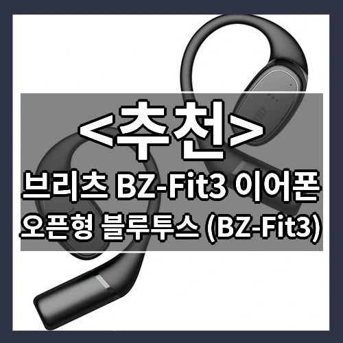 브리츠 BZ-Fit3 이어폰 추천