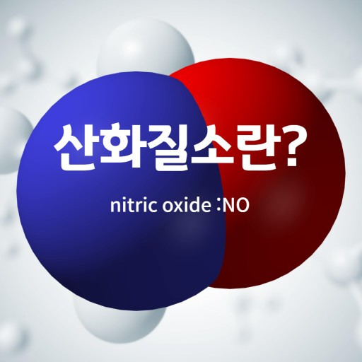 산화질소