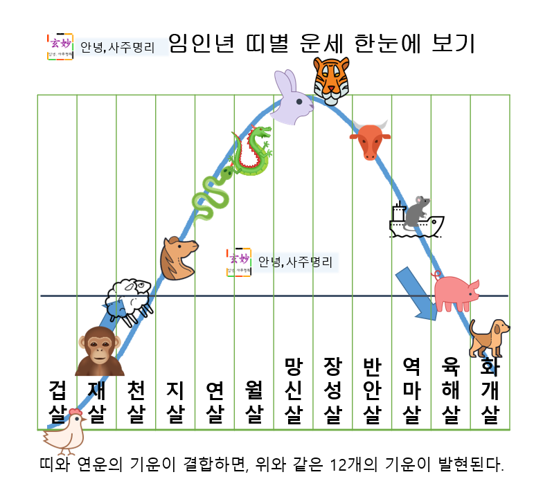 [2022미리보기] 임인년 띠별운세 모음