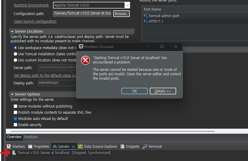 [Eclipse] The server cannot be started because one or more of the ports ...
