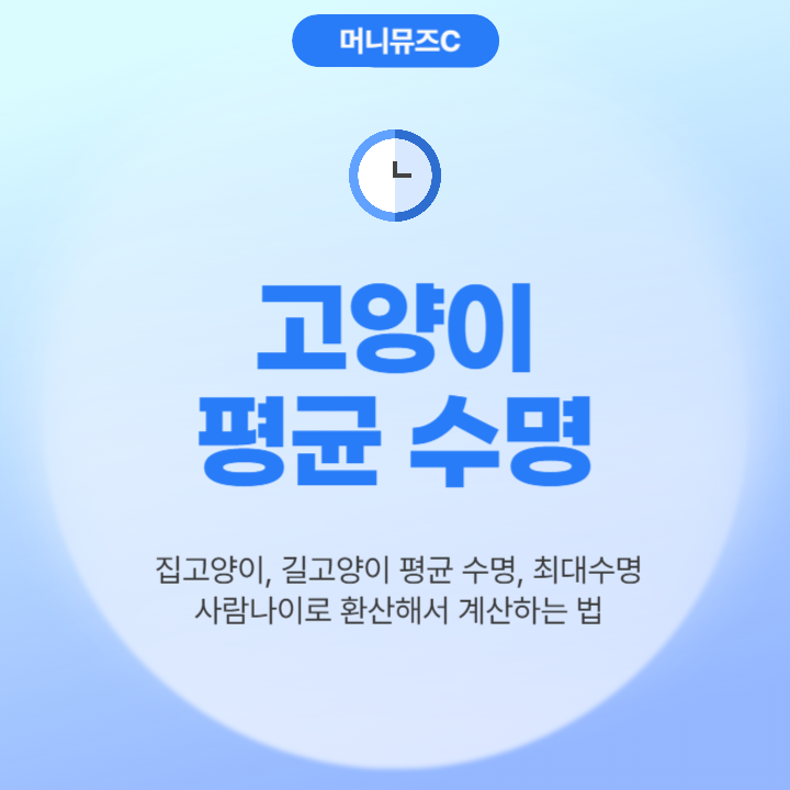 집고양이 길고양이 평균 수명, 최대 수명은? (+고양이 나이 계산하는 법)