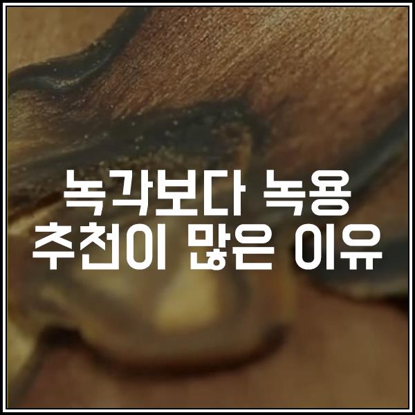 녹용 추천이 많은 이유와 녹용먹는방법