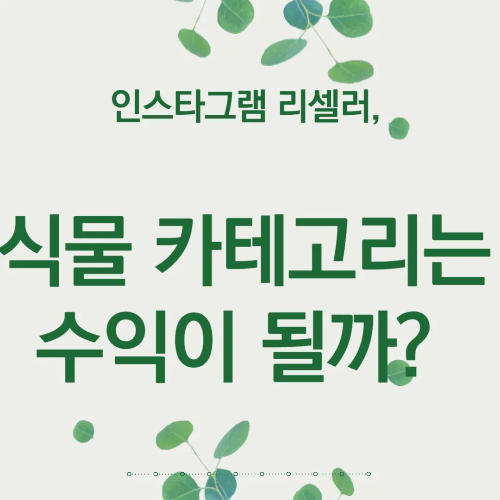 인스타그램 리셀러, 식물 카테고리는 수익이 될까?