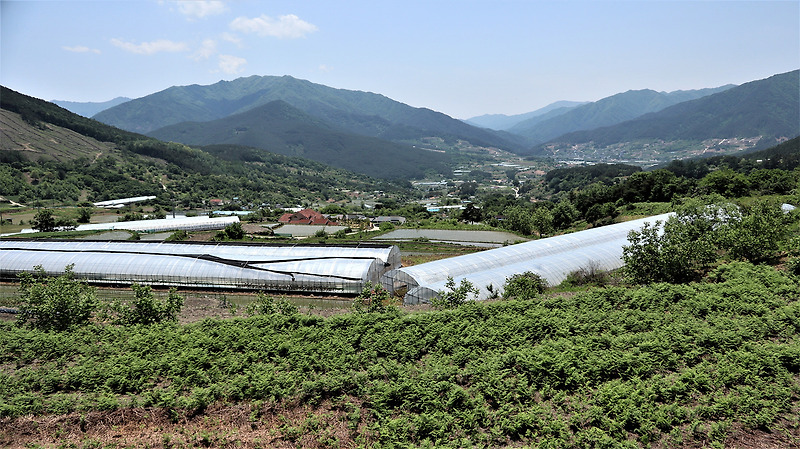 지리산둘레길3코스 인월 금계구간(2020년 5월 23일)