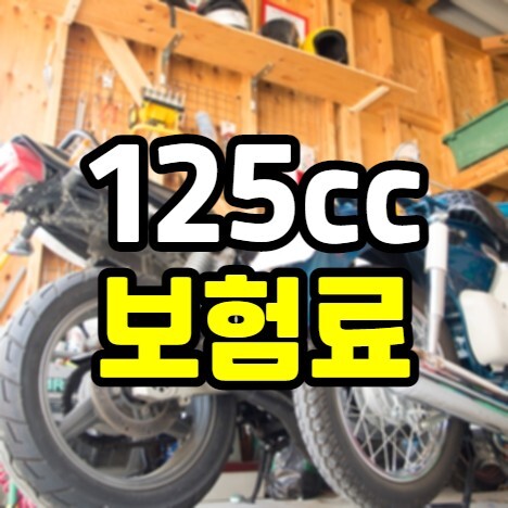 20세 125cc 오토바이 보험료 및 나이별 책임보험 가격 정보