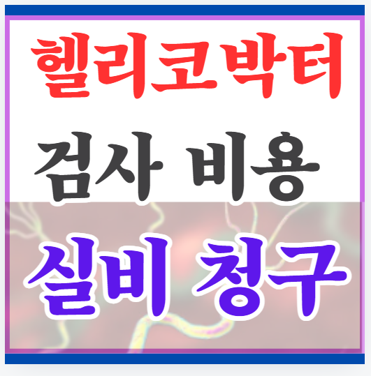 헬리코박터 검사 비용 실비 청구 치료 보험 적용