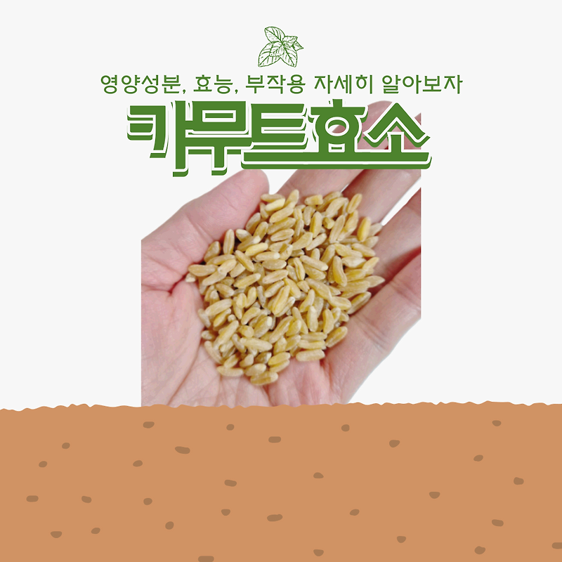 다이어트 효소로 각광받는 카무트효소의 효능과 부작용을 알아보자