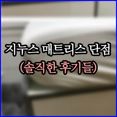 지누스 매트리스 단점 (솔직한 후기들)